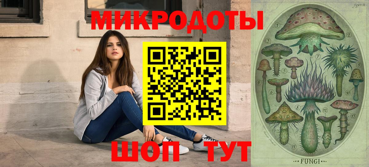 Галлюциногенные грибы Psilocybe  Вход с VPN  Новочебоксарск 