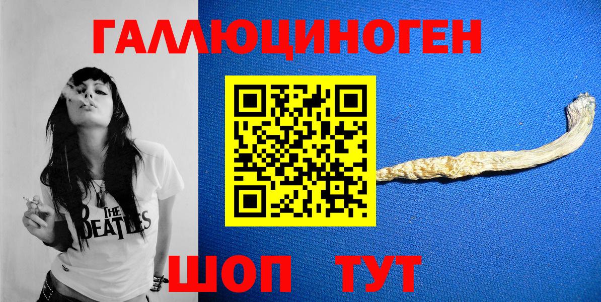 Псилоцибиновые грибы мицелий Новочебоксарск